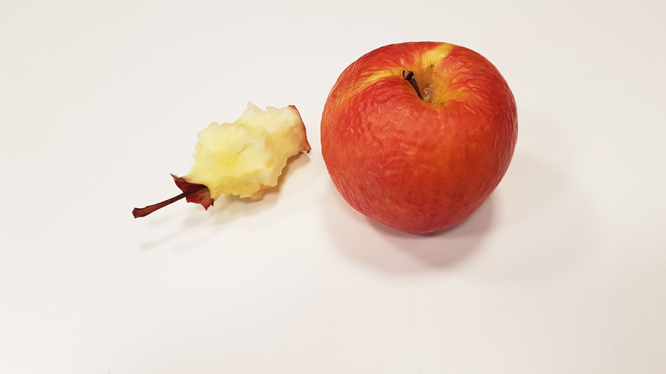 En äppelskrott och ett gammalt torrt rött äpple på vitt underlag.
