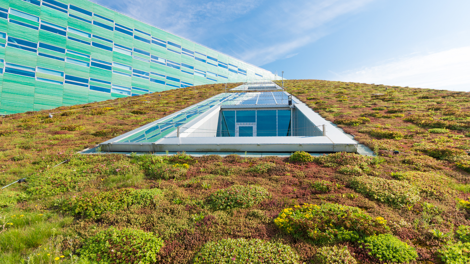 modern building with roof covered with grass and moss, surrounding large glasswindows.
